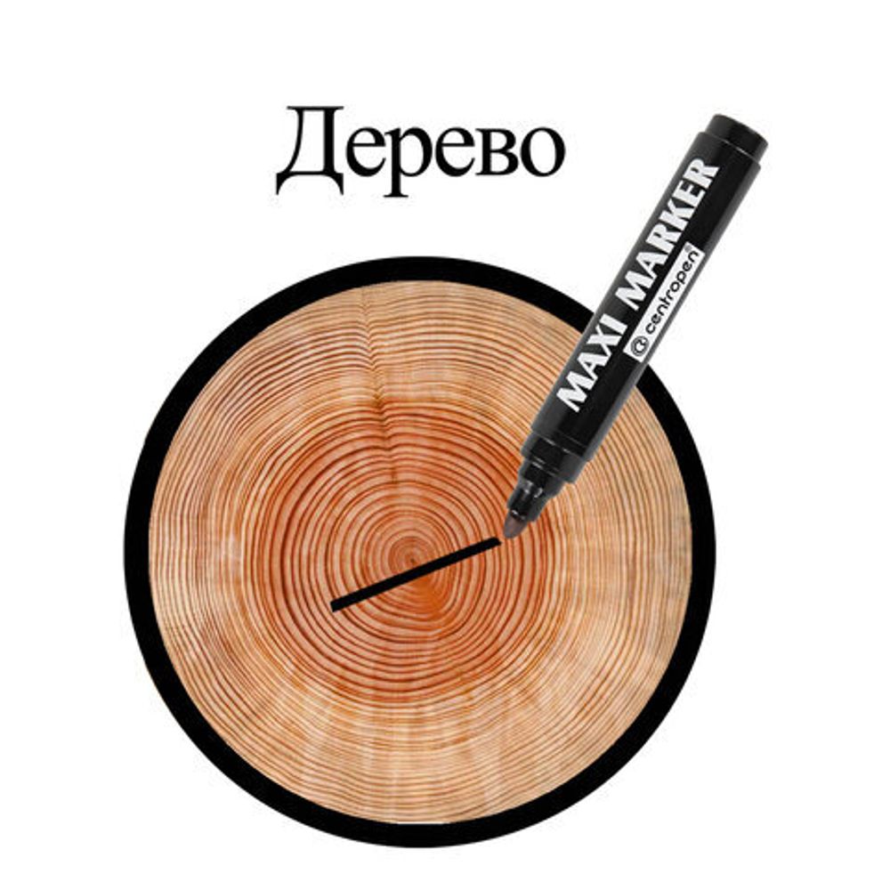 Маркер перманентный универсальный ЧЕРНЫЙ CENTROPEN "Maxi Marker", 2-4 мм, 8936, 5 8936 0112