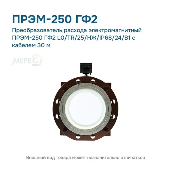 Преобразователь расхода электромагнитный ПРЭМ-250 ГФ2 L0/TR/25/НЖ/IP68/24/B1 с кабелем 30 м