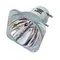SHOWLIGHT YODN MSD 280R10