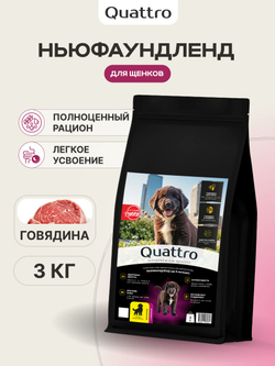 Корм сухой для щенков породы Ньюфаундленд, с говядиной, 3 кг, QUATTRO