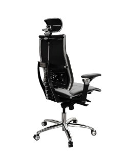 Эргономичное кресло Y 4DT L2-10D - Genuine /Kc06/Nc06/D06P/H13mL-3D(M06.B34.G04.W04)