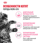 Royal Canin Maine Coon Kitten Киттен Мейн Кун Корм сухой для котят породы Мэйн Кун в возрасте от 4 до 15 месяцев 400г