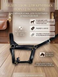 Недоуздок для крупных пород лошадей из черной кожи