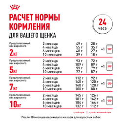 Royal Canin Mini Puppy Корм сухой для щенков мелких пород в возрасте до 10 месяцев - 2 кг