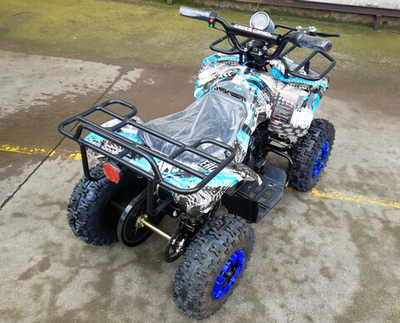 Квадроцикл GreenCamel Гоби K32 (36V 1000W R6 Цепь) ножной тормоз электр.