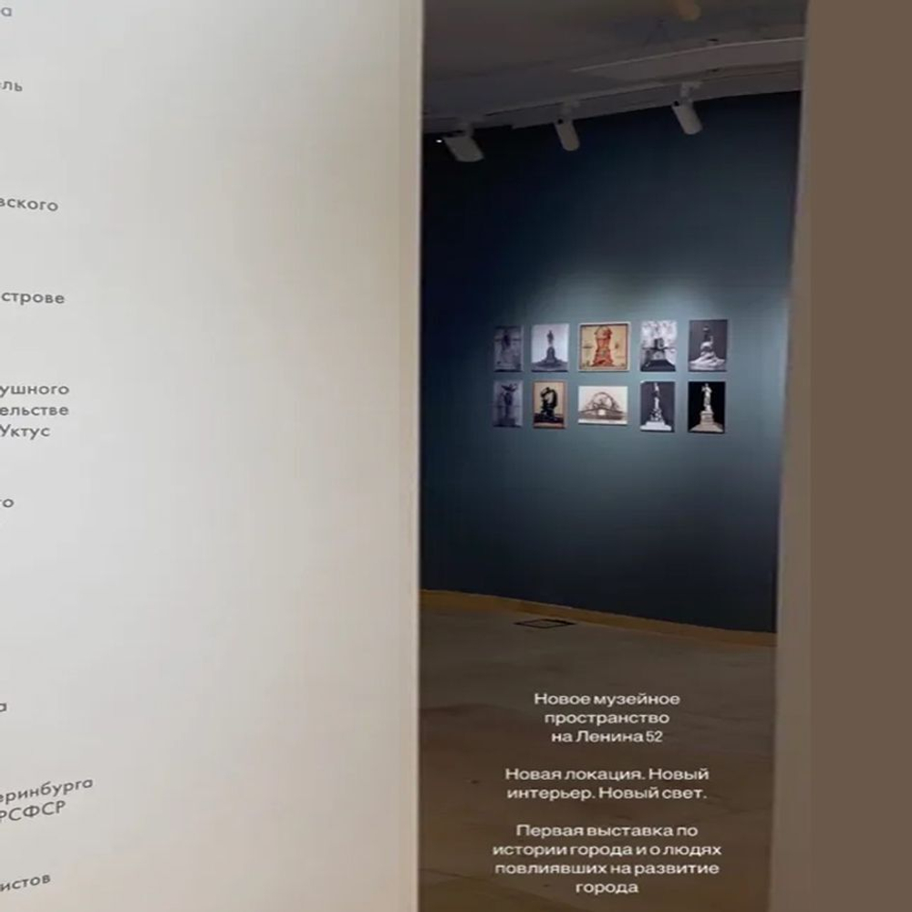 Светильник диммируемый, с мультифокусом для подсветки картин и музейного освещения NEPHELLINE ZEUS DAY 4000K