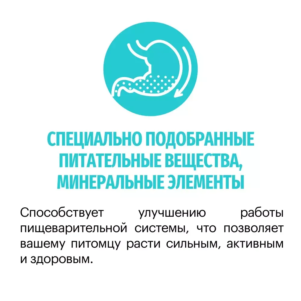Сухой корм Karmy Hypoallergenic Medium & Maxi для взрослых собак средних и крупных пород, склонных к пищевой аллергии, с ягненком