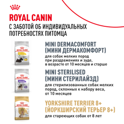 Royal Canin Yorkshire Terrier Adult Корм сухой для взрослых собак породы Йоркширский Терьер от 10 месяцев - 0,5 кг