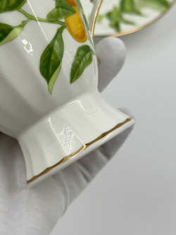 Чайная пара Noritake