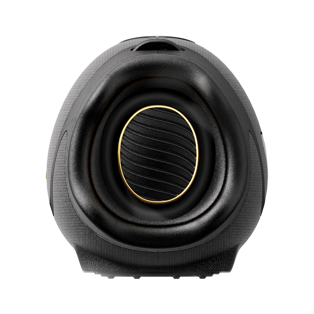 Колонка портативная Hisense FlexBOOM