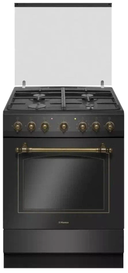 Комбинированная плита Hansa FCMA58109