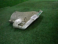 DSCN9790.JPG