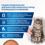Диетический корм Monge VetSolution Cat Recovery Рекавери для кошек при восстановлении питания в период выздоровления 100 г