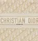 Сумка женская Dior Book Tote, а золотой