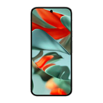 Смартфон Google Pixel 9 Pro 16/1TB, Hazel (Орешник) (Global)