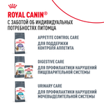 Royal Canin Light Weight Care Лайт вейт кэа Корм влажный для взрослых кошек для контроля набора веса желе 85г