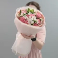 Малиновые сны