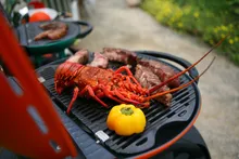 Портативный газовый гриль O-Grill 700T (красный), 1 горелка