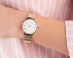 Женские наручные часы Skagen SKW2713