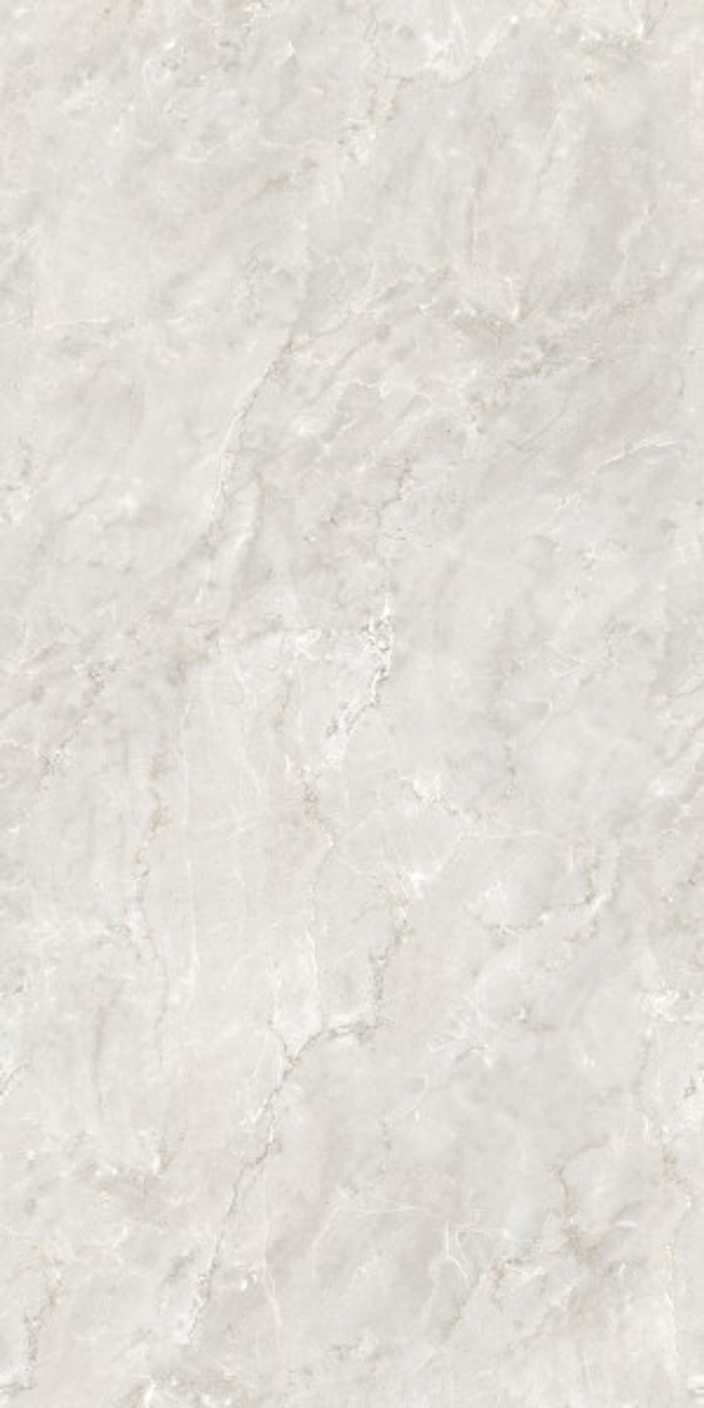 DELROY DOVE CZ-RT02-B