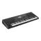 Korg Pa300
