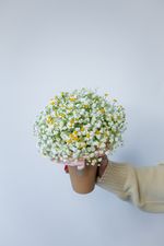 Комплимент с ромашкой