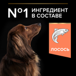 Сухой корм PRO PLAN SENSITIVE SKIN для взрослых собак мелких и карликовых пород с чувствительной кожей лосось 700 г