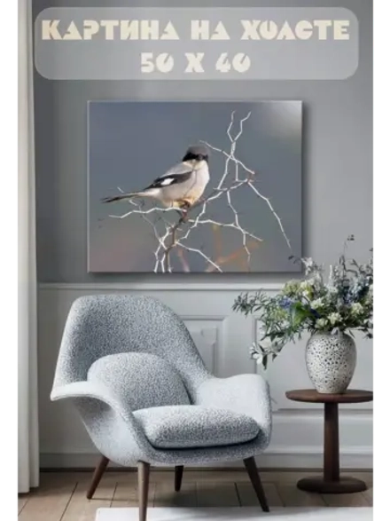 Картина на стену 40 X 50 Птица