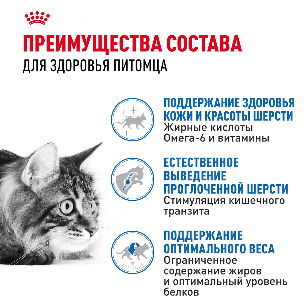 Royal Canin Indoor Long Hair Индор Лонг Хэйр Корм сухой для длинношерстных кошек в возрасте от 1 года до 7 лет живущих в помещении 400г