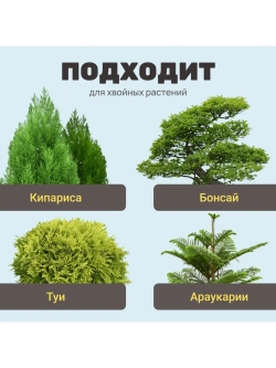 Органический грунт для кипарисов и хвойных растений 2,5 л