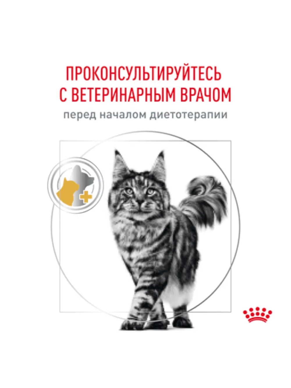 Urinary S/O LP 34 Feline 1,5кг Корм для кошек при МКБ