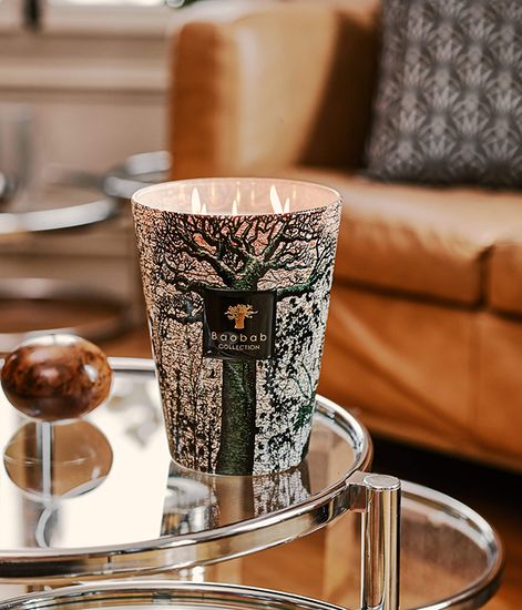 Kani, свеча MAX 16 Sacred Trees collection, Baobab Collection