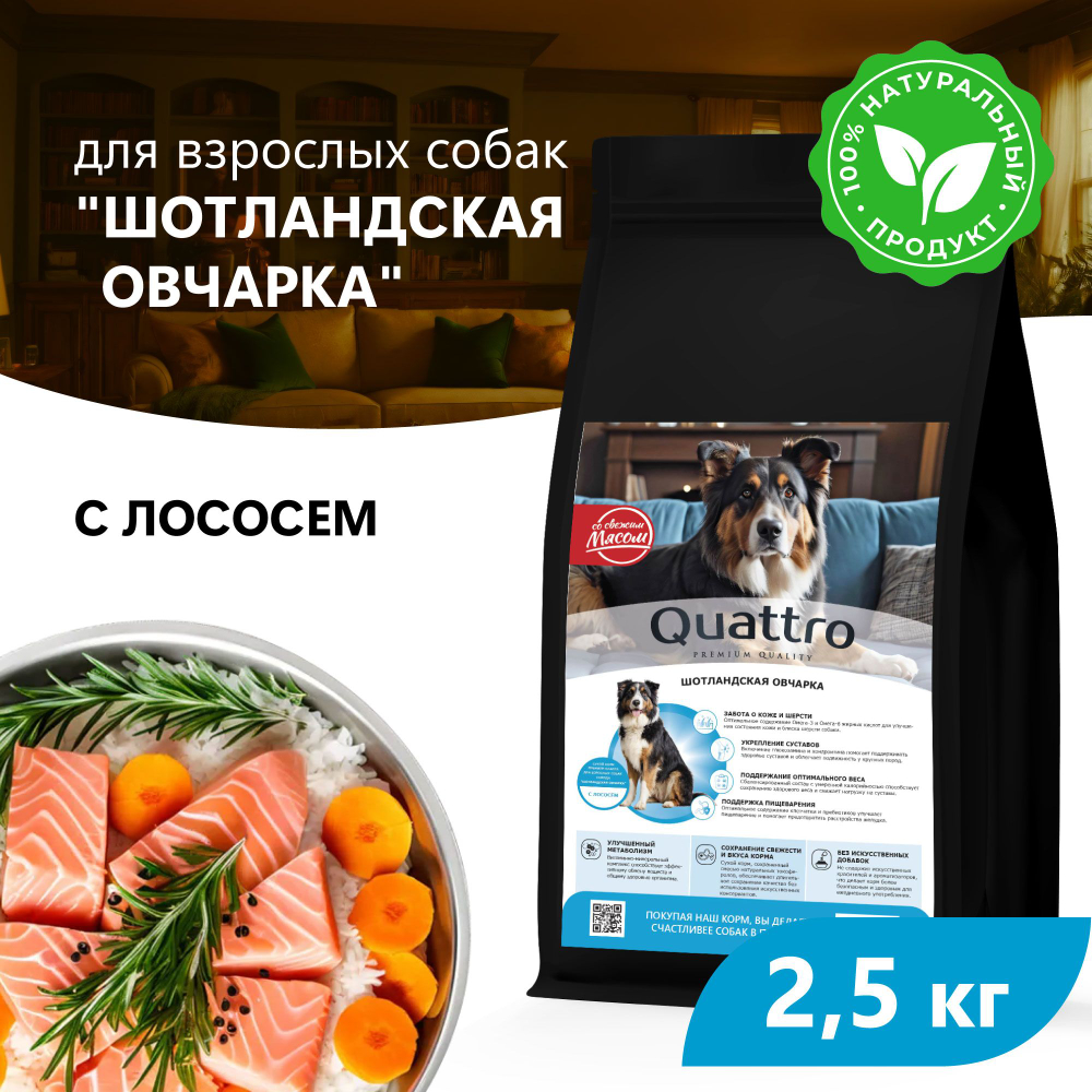 Корм сухой для взрослых собак породы Шотландская овчарка, премиум полнорационный комплекс, с лососем, 2,5 кг, QUATTRO