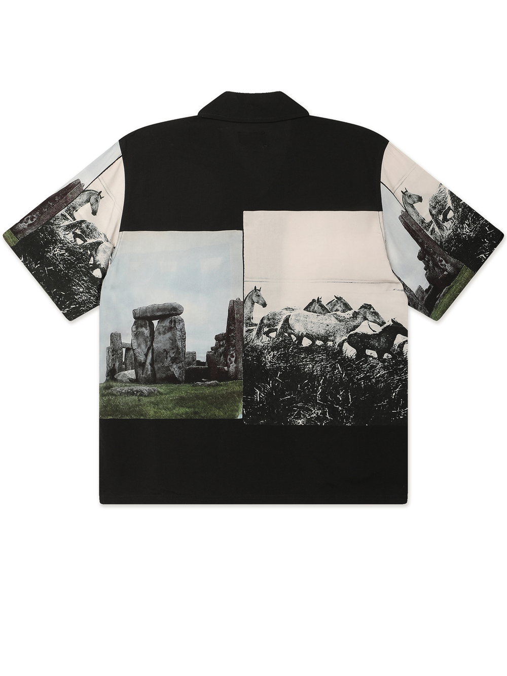 Мужская Рубашка Stone Horse Button Down