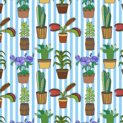 Seamless pattern of flowerpots, cacti in pots.