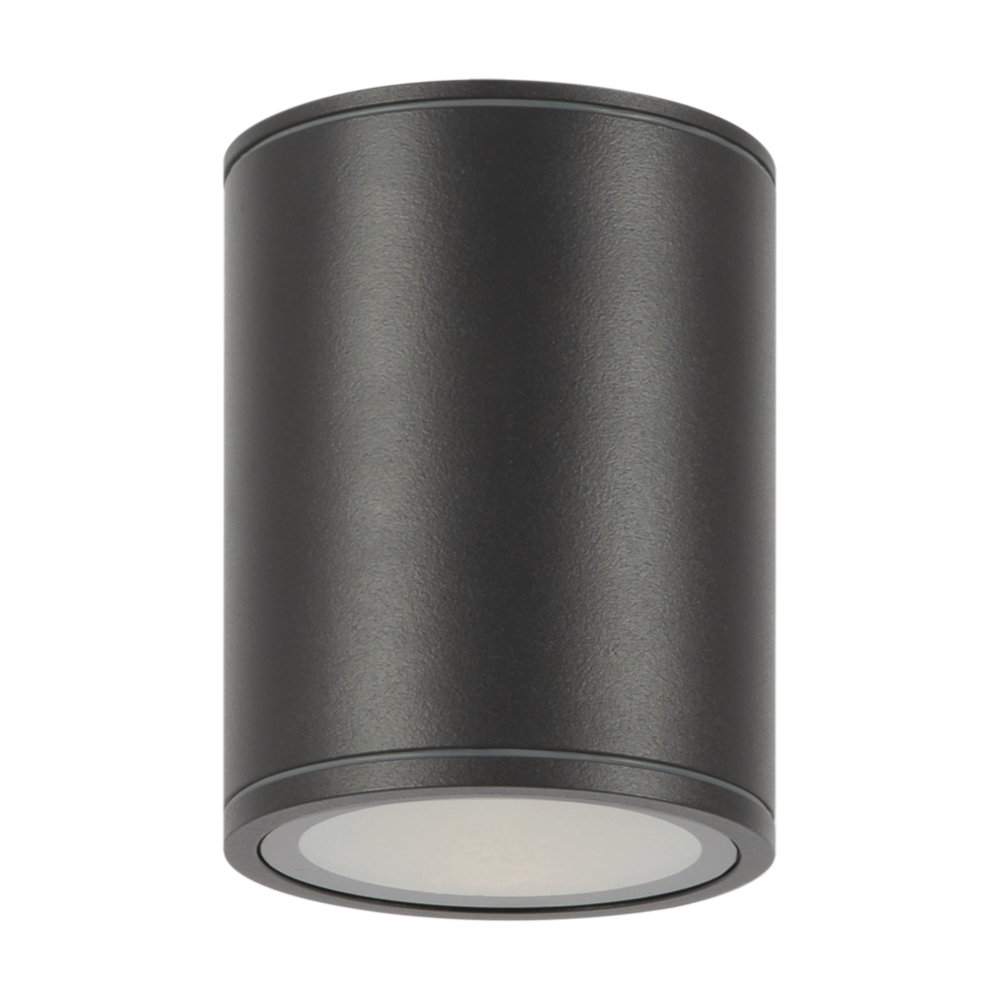 Уличный потолочный светильник Outdoor O306CL-L12GF