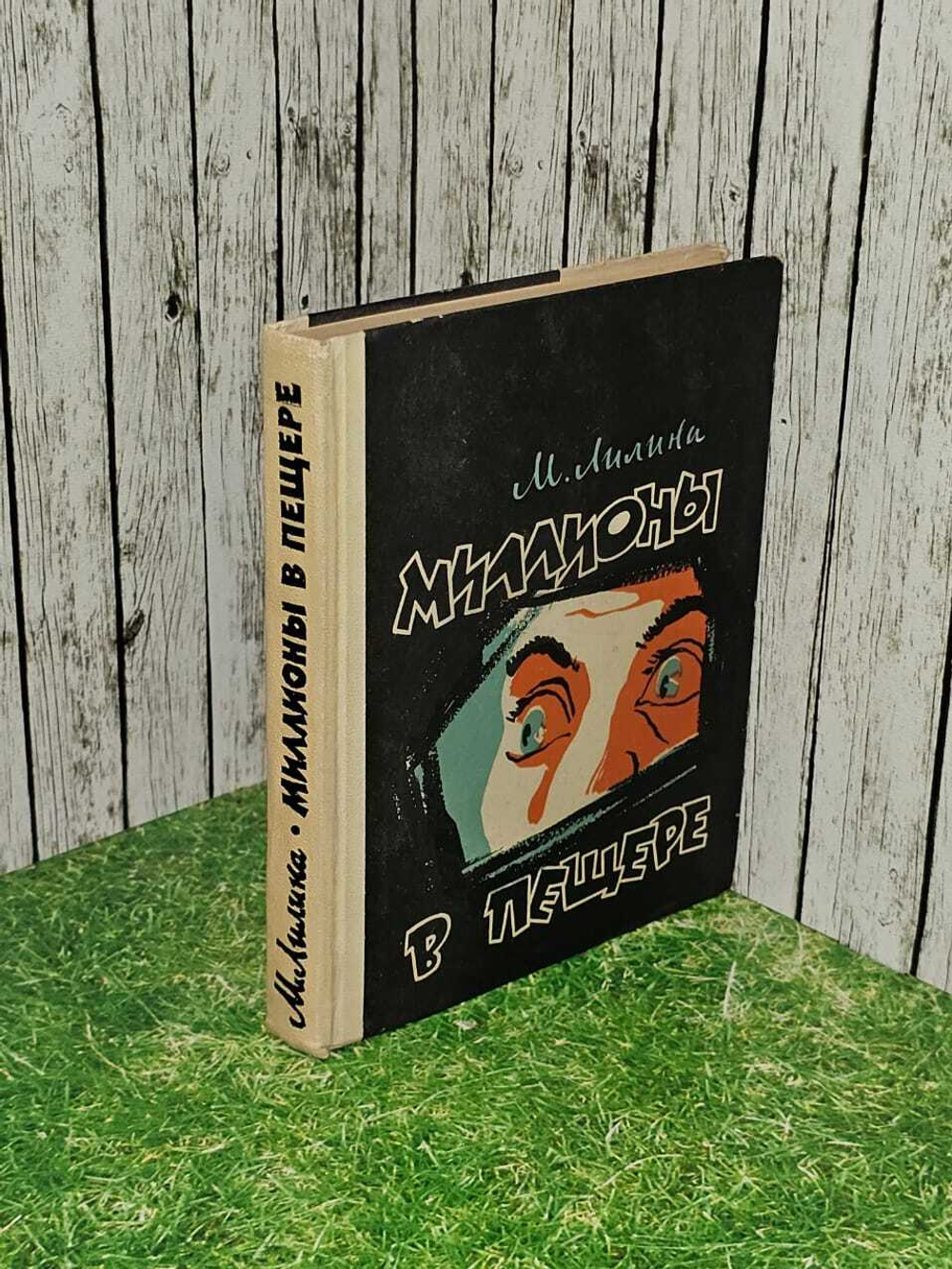 Миллионы в пещере Лилина Мирра Ефимовна