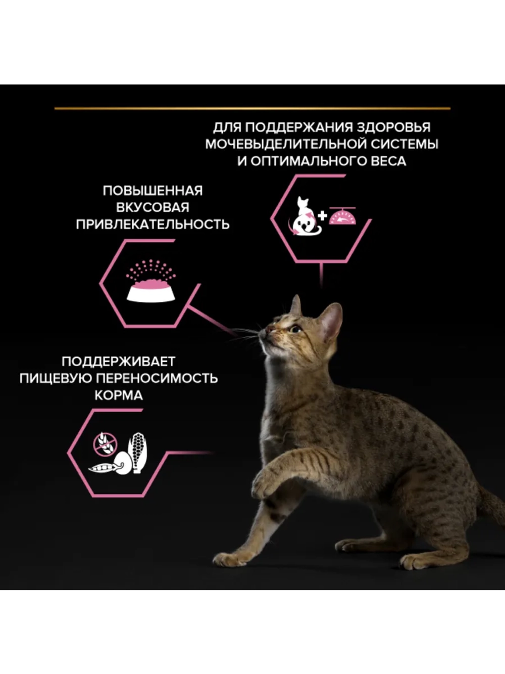 Корм для кошек Курица 3кг