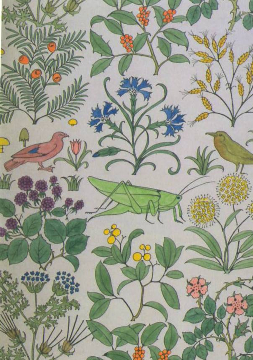 V&A Pattern: 100 Postcards