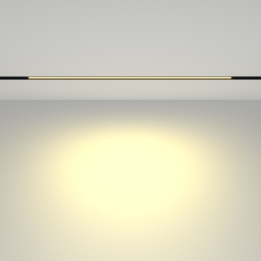 Магнитный трековый светильник Maytoni Basis TR030-2-24W2.7K-B