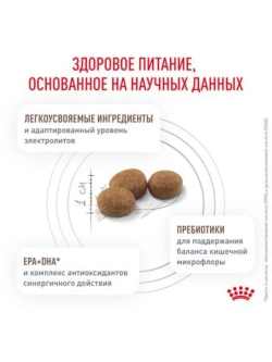 Gastrointestinal Low Fat Small Dog 3кг Корм для собак