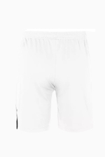 Шорты Nike Team Volleyball Spike