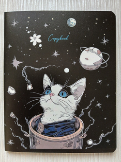 Тетрадь 48 листа А5+. "Котобезумие", общая, клетка. Формат А5+ (163*203 мм). Арт.120046. С полями. Комплект 5 шт.