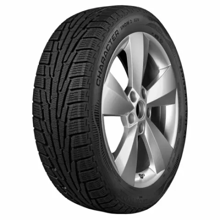 Зимняя шина Ikon Tyres Character Snow 2 (205/55 R17 95H)