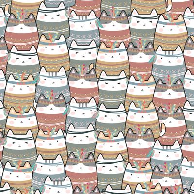 котики
