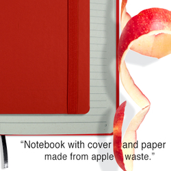 cover and inside of notebook_red_apple