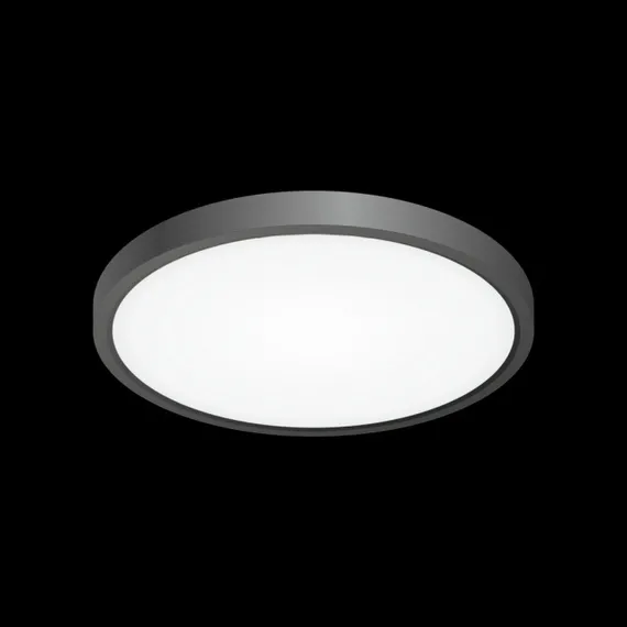 Потолочный светильник Бейсик CL738241V Citilux