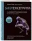 Биотенсегрити