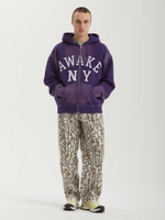 Мужская Толстовка Collegiate Arch Zip