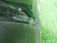 DSCN5720.JPG